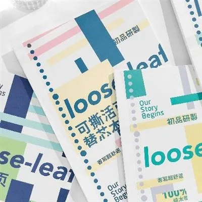 Come disporre le pagine di un quaderno a fogli mobili per una relazione?